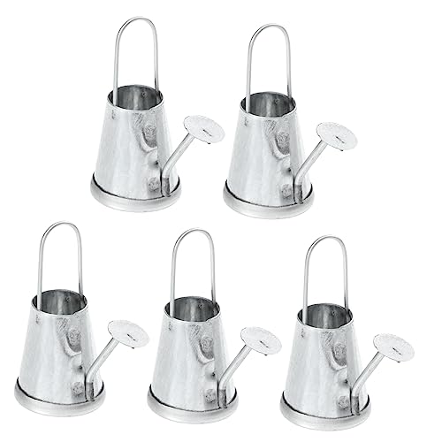 COMNESTBI 5 Stück Wasserkocher Micro Landschaft Mini Gießkanne Für Drinnen Botanisches Anlage Winzig Dekorativ Pflanzen Klein Krug Wasserkanne Für Silver Eisen von COMNESTBI
