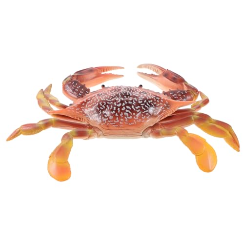 COMNESTBI Krabbenmodell Ozeanlebewesen Realistische Dekofigur für Bildung Partyspiele für Aquarium Terrarium Kreative Raumgestaltung COMNESTBI Krabbenmodell Ozeanlebewesen Realistische Dekofigur für Bildung Partyspiele für Aquarium Terrarium Kreative Raumgestaltung von COMNESTBI