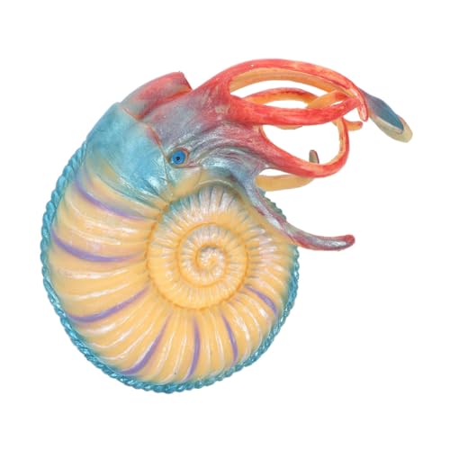 COMNESTBI Nautilus Modell Meerestiere Realistisches Dekorationsspielzeug aus Langlebigem für Aquarien und Bildungszwecke für Tierartenbildung und Umweltbewusstsein COMNESTBI Nautilus Modell Meerestiere Realistisches Dekorationsspielzeug aus Langlebigem für Aquarien und Bildungszwecke für Tierartenbildung und Umweltbewusstsein von COMNESTBI