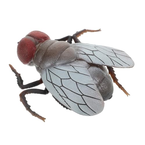 COMNESTBI Simulationsfliege Realistisches Insekt Praktische Scherzfliege Fliegenscherz Gefälschte Fliege Insektenstreiche Streichfliege Für Scherz Knifflige Fliege Figur COMNESTBI Simulationsfliege Realistisches Insekt Praktische Scherzfliege Fliegenscherz Gefälschte Fliege Insektenstreiche Streichfliege Für Scherz Knifflige Fliege Figur von COMNESTBI