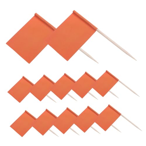 CONGARTENO 100 Stück Einfarbige Zahnstocher Flaggen Orange Kleine Food Flags für Party Cupcake Topper Käse und Obst Dekorationen Vielseitige Mini Tischflaggen für Outdoor Events und Buffets von CONGARTENO