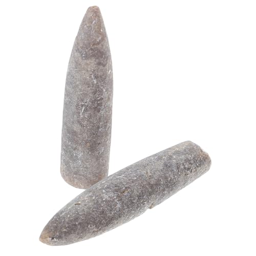 CONGARTENO 2 Stück Teiliges Fossilien Natürliche Mineralische Specimen für Geologie Unterricht Dekoration und Sammler Authentische Paläontologische Lehrmittel und Einzigartige Wohnaccessoires CONGARTENO 2 Stück Teiliges Fossilien Natürliche Mineralische Specimen für Geologie Unterricht Dekoration und Sammler Authentische Paläontologische Lehrmittel und Einzigartige Wohnaccessoires von CONGARTENO