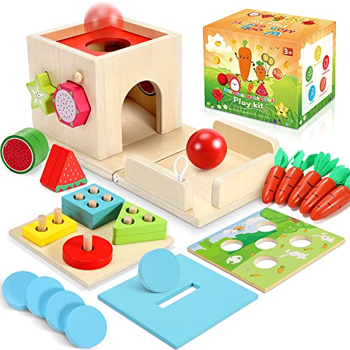 COOLJOY Montessori Spielzeug ab 1 Jahr | 5-In-1 Montessori-Münzbox, Ball Drop, Karottenernte Sortierspiel Stapelspielzeug | Motorikspielzeug Geschenk für Kinder ab 2 3 4 Jahre Jungen Mädchen von COOLJOY