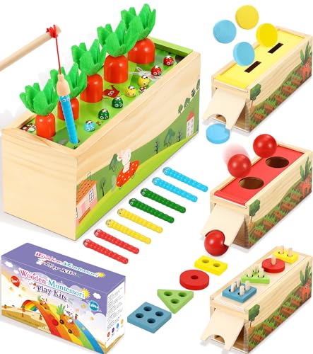 COOLJOYA Montessori Spielzeug ab 1 2 3 Jahr，5-in-1 Karotten Steckspiel Holz Holzbausteine die Montessori Geschenk Mädchen Jungen, Lernspielzeug Geschenk für 1 2 3 Jahre Kleinkind von COOLJOYA