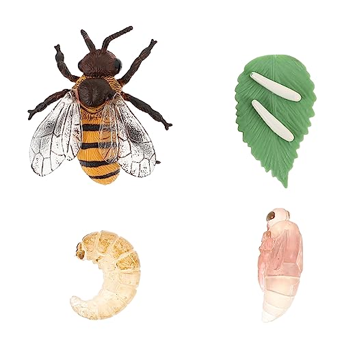 COOPHYA Dekoratives mit Lebensechten Honigbienen Modellen Lernspielzeug für Lebenszyklus von Bienen Pädagogische Miniaturfiguren für Kindergarten Leicht und Handlich von COOPHYA