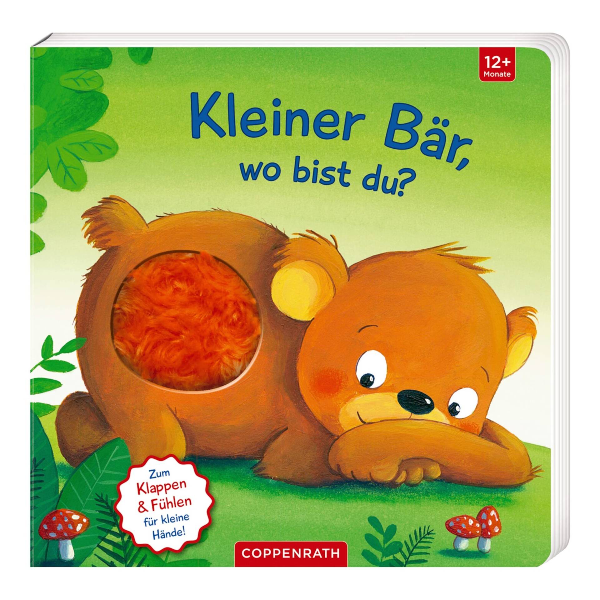 Coppenrath Die Spiegelburg Mein erstes Guckloch-Fühlbuch - Kleiner Bär, wo bist du? von COPPENRATH DIE SPIEGELBURG