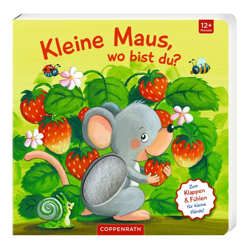 Coppenrath Die Spiegelburg Mein erstes Guckloch-Fühlbuch - kleine Maus, wo bist du? von COPPENRATH DIE SPIEGELBURG