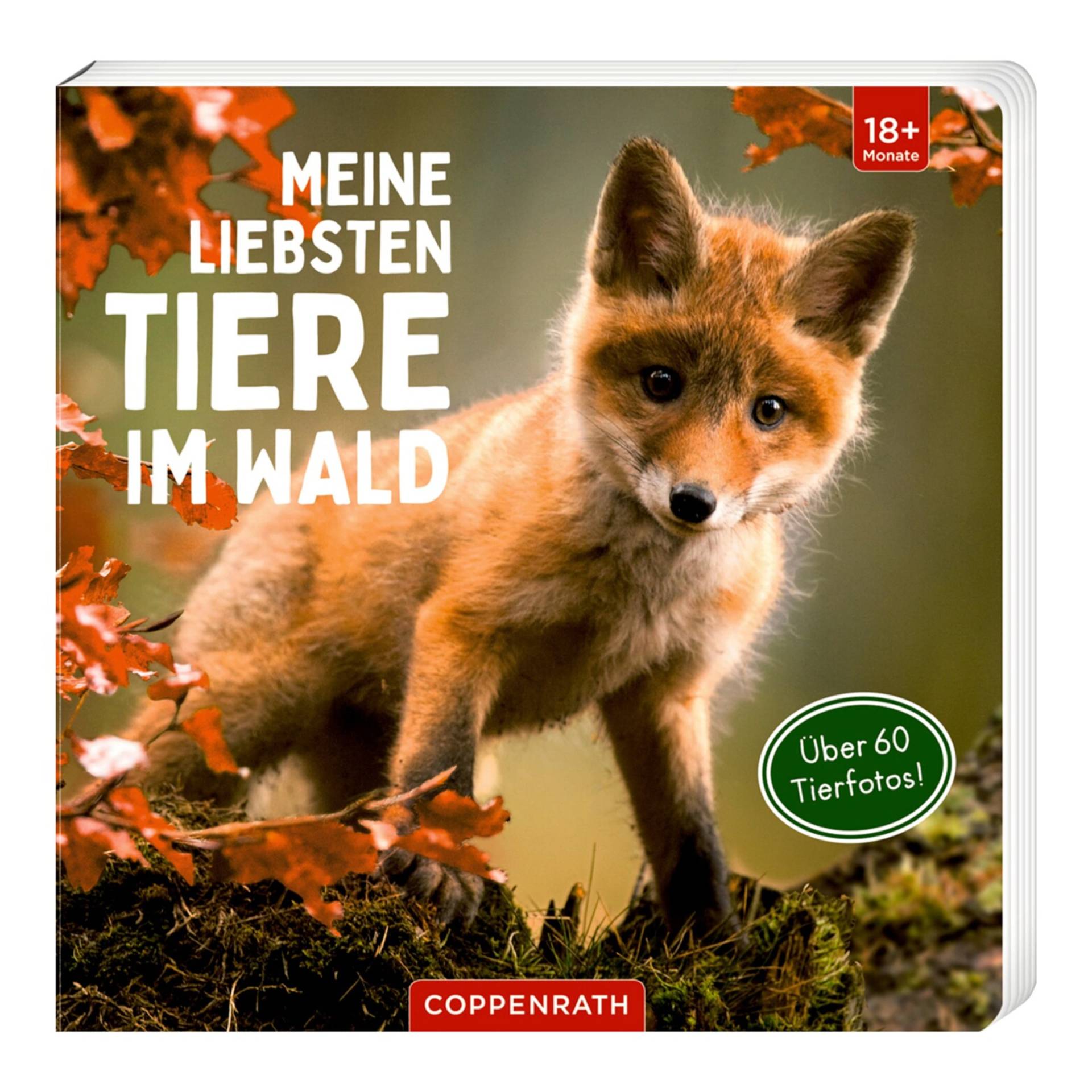 Coppenrath Die Spiegelburg Pappbilderbuch Meine liebsten Tiere im Wald von COPPENRATH DIE SPIEGELBURG