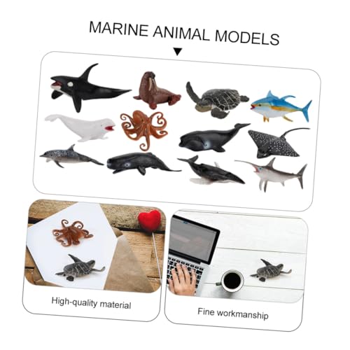 CORHAD 12 Stück Teiliges Realistische Meerestiere Figuren Pädagogisches Simulationsspielzeug für Vielseitig als Schreibtischdeko Sandtischmodell Aquariumornament Geeignet Fördert von CORHAD