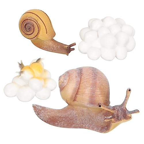 CORHAD 1Satz Tierwachstumszyklus Lernspielzeug Für Teiliges Mit Tiermodellen Pädagogisches Kognitionsspielzeug Für Vorschulkinder Geburtstags von CORHAD