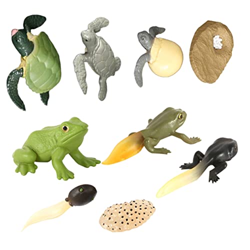 CORHAD 2Sätze Simulation Tiere Modelle Frosch und Schildkröte Figuren für Pädagogisches zur Veranschaulichung von Lebenszyklen für Kreative Experimente und Dekorative CORHAD 2Sätze Simulation Tiere Modelle Frosch und Schildkröte Figuren für Pädagogisches zur Veranschaulichung von Lebenszyklen für Kreative Experimente und Dekorative von CORHAD