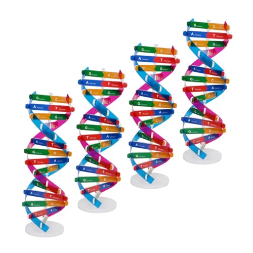 CORHAD 4 Stück Teiliges DNA Doppelhelix Modell Bausatz DIY Realistisches Molekulares Genstruktur Lernspielzeug Stabiler Standfuß Interaktives Wissenschaftslernset für Schüler und von CORHAD