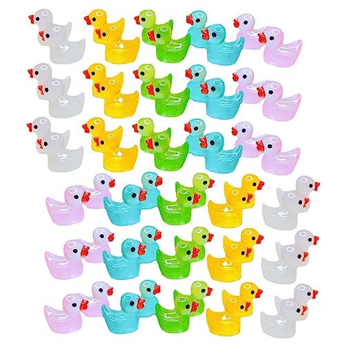 CORHAD 60 Stck. leuchtende Entenverzierung Bausatz Miniatur Frosch ducken cutermesserser heusgen Entenfiguren für Kindergeburtstage geschebke Statue Minifiguren dekorieren Harz von CORHAD