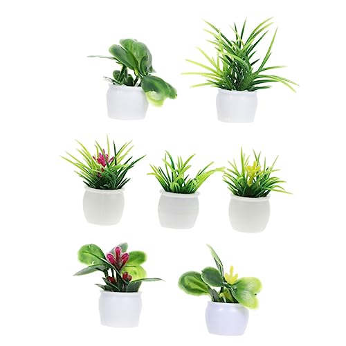 CORHAD 7Stücke Pflanzen Dekorative Mikro Landschaftsmodelle für Puppenhäuser Kunstpflanzen für Zen Garten und DIY Projekte Realistische Topfpflanzen Dekoration CORHAD 7Stücke Pflanzen Dekorative Mikro Landschaftsmodelle für Puppenhäuser Kunstpflanzen für Zen Garten und DIY Projekte Realistische Topfpflanzen Dekoration von CORHAD