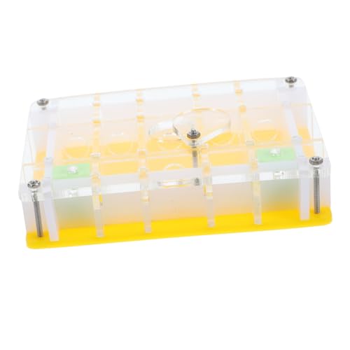 CORHAD Acryl Ant Nest Beobachtungsbox Transparent Langlebig Sicher für Ameisenfarm Lernspielzeug Ökologische Ameisenkolonie CORHAD Acryl Ant Nest Beobachtungsbox Transparent Langlebig Sicher für Ameisenfarm Lernspielzeug Ökologische Ameisenkolonie von CORHAD