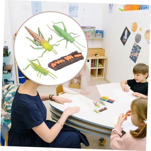 CORHAD Kinderpädagogisches Tierzyklus modellset Heuschrecke Wachstumszyklus Figur für Frühe Bildung und Naturwissenschaftliches Lernen im Klassenzimmer und Zuhause CORHAD Kinderpädagogisches Tierzyklus modellset Heuschrecke Wachstumszyklus Figur für Frühe Bildung und Naturwissenschaftliches Lernen im Klassenzimmer und Zuhause von CORHAD