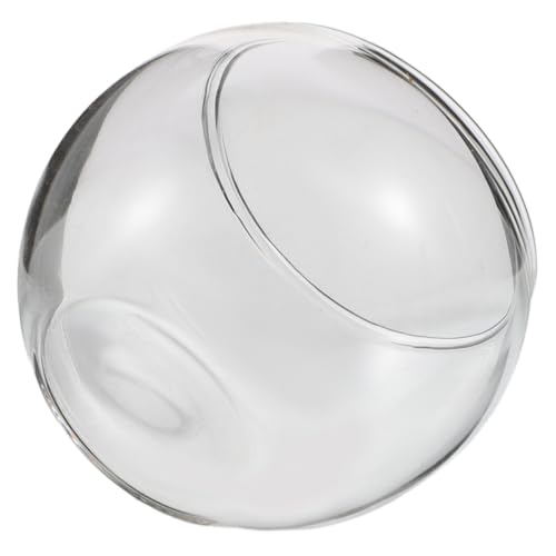 CORHAD Mini-glasschale Für Aquarien Rund 5 cm Für Wassermoos Und Als Mittelpunkt Für Ihr Zuhause von CORHAD