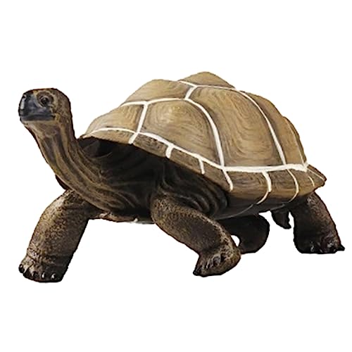 CORHAD Lebensechtes Schildkrötenmodell aus Dekorative Schildkröte für Lernspielzeug und Fotorequisiten Kognitiver Fähigkeiten CORHAD Lebensechtes Schildkrötenmodell aus Dekorative Schildkröte für Lernspielzeug und Fotorequisiten Kognitiver Fähigkeiten von CORHAD
