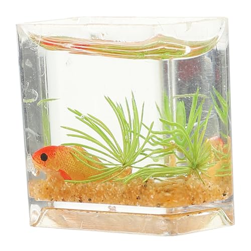 CORHAD Miniatur Goldfischglas Modell Realistische Miniatur Dekoration für Puppenhäuser Vielseitiges Aquarium Ornament Kompakt für Kleine Landschaften für Mini Haus Zubehör CORHAD Miniatur Goldfischglas Modell Realistische Miniatur Dekoration für Puppenhäuser Vielseitiges Aquarium Ornament Kompakt für Kleine Landschaften für Mini Haus Zubehör von CORHAD
