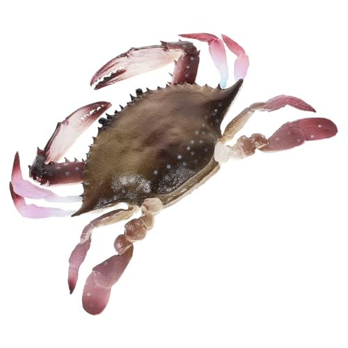 CORHAD Realistisches Krabbenmodell aus PVC Naturgetreue Meeresfigur Langlebiges Lernspielzeug Kreative Simulation Pädagogisches Tierfiguren für Sammler CORHAD Realistisches Krabbenmodell aus PVC Naturgetreue Meeresfigur Langlebiges Lernspielzeug Kreative Simulation Pädagogisches Tierfiguren für Sammler von CORHAD