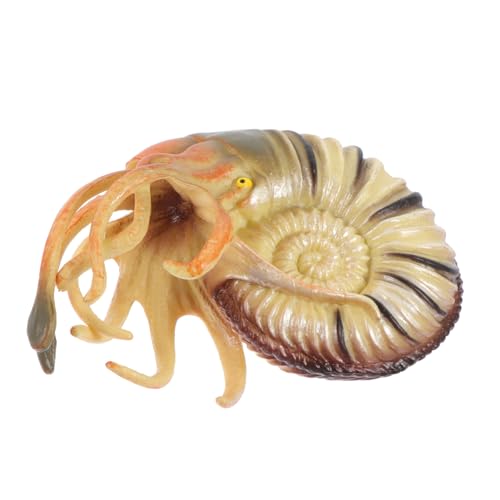 CORHAD Realistisches Nautilus Modell Simulation Meeresbewohner Deko Aquarium Tierfigur Lernspielzeug Fördert Fantasie und Kognitive Entwicklung Leicht Tragbar für Schule und Zuhause von CORHAD