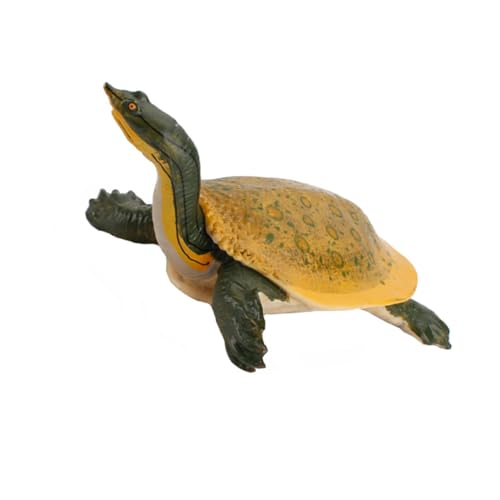 CORHAD Realistisches Schildkrötenmodell Figur Tierfigur Simulation Pädagogisches Dekoration für Kinderzimmer und Garten Lernspielzeug für Kreativität und Tiererkennung von CORHAD