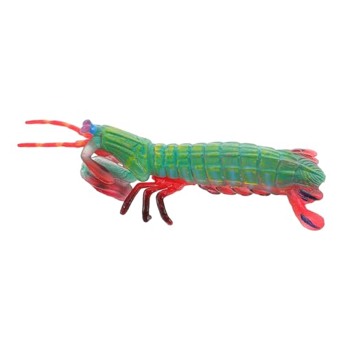 CORHAD Realistisches Simulation Garnelenmodell Lernspielzeug für Meeresbewohner Figur Detailgetreues Ornament zur Tiererkennung und Aquarium Dekoration von CORHAD