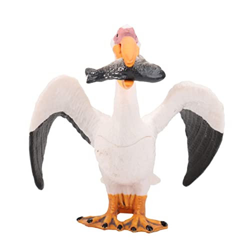 CORHAD Realistisches Vogel Tiermodell Dekoration Lernspielzeug für Vogel Figur Geschenk Pädagogisch Robustes Wildtier Modell CORHAD Realistisches Vogel Tiermodell Dekoration Lernspielzeug für Vogel Figur Geschenk Pädagogisch Robustes Wildtier Modell von CORHAD