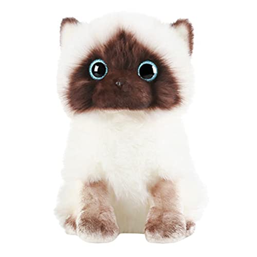 CORHAD Siamese Cat Plüschpuppe Weiches Dekoratives Kuscheltier für Wohnraum Hautfreundlich Komfortabel Geschenk für Mädchen und Katzenliebhaber von CORHAD