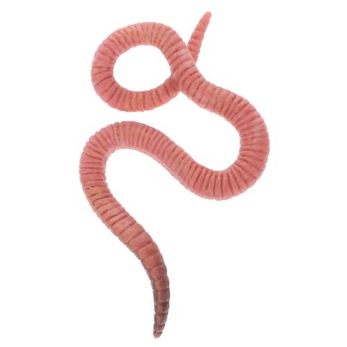 CORHAD Simulation Regenwurm Modell Kunststoff Regenwurm Modell Simulation Regenwurm Bildungsmodell CORHAD Simulation Regenwurm Modell Kunststoff Regenwurm Modell Simulation Regenwurm Bildungsmodell von CORHAD