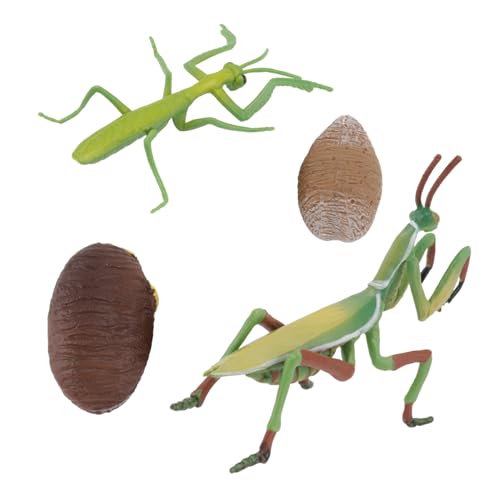 CORHAD Simuliertes Insektenmodell Mantis Figur Lernspielzeug für Realistischem Design Leicht Tragbar zur Farberkennung und Hand Augen Koordination Geeignet von CORHAD