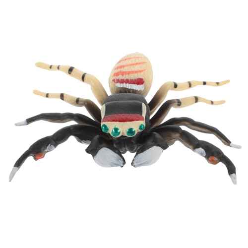 CORHAD Spinnenspielzeugmodell Lernspielzeug Für Realistisches Spinnenspielzeug Halloween-streich-Requisiten Spinnen-actionfigur Vogelspinne Spielzeug Kind Insekt Plastik Gefälschtes Tier von CORHAD