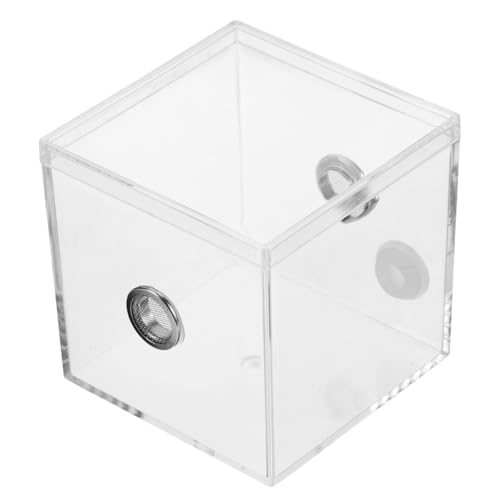 CORHAD Transparentes Kleines Insekten Reptilien Terrarium mit Hoher Luftfeuchtigkeit Vielseitiges Habitat für Grillen Spinnen und Heuschrecken Komfortable Aufzuchtbox für Insektenhaltung CORHAD Transparentes Kleines Insekten Reptilien Terrarium mit Hoher Luftfeuchtigkeit Vielseitiges Habitat für Grillen Spinnen und Heuschrecken Komfortable Aufzuchtbox für Insektenhaltung von CORHAD