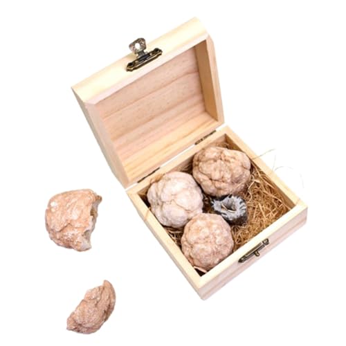 COSMEVIVI 1 Box Höhlencluster Kristallkugel Bergbau Sets Für Kinder, Steinsammlung, Graben Und Entdecken Von Edelsteinen, Edelstein Ausgrabungsset, Geologie Set, Bergbau Set Für Erwachsene, von COSMEVIVI