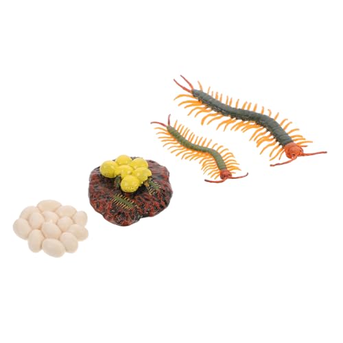 COSMEVIVI 1 Satz Modell des Wachstumszyklus Spielzeug Tausendfüßler-Display-Requisite Lehrstütze Früherziehung Prop Tausendfüßler-lebenszyklus-Figur Tausendfüßler-lebenszyklusmodell Plastik COSMEVIVI 1 Satz Modell des Wachstumszyklus Spielzeug Tausendfüßler-Display-Requisite Lehrstütze Früherziehung Prop Tausendfüßler-lebenszyklus-Figur Tausendfüßler-lebenszyklusmodell Plastik von COSMEVIVI