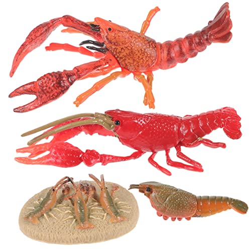 COSMEVIVI 1 Satz Tiermodell Cartoon-Hummer-Modelle Hummer Lebenszyklus Kognitives Für Mit Hummer Für Hummerzuchtzyklen Hummer Kognitive Modelle Plastik COSMEVIVI 1 Satz Tiermodell Cartoon-Hummer-Modelle Hummer Lebenszyklus Kognitives Für Mit Hummer Für Hummerzuchtzyklen Hummer Kognitive Modelle Plastik von COSMEVIVI