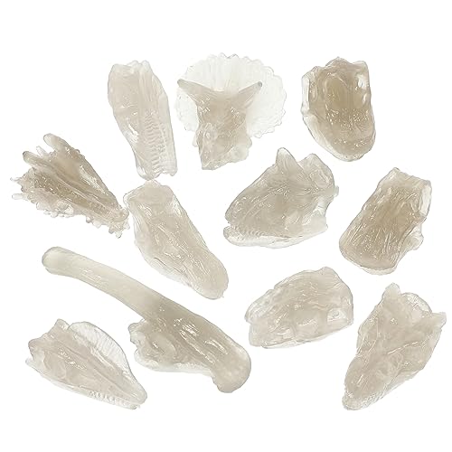 COSMEVIVI 1 Set PVC Dinosaurierschädel, Dinosaurierknochenmodelle, Dinosaurierschädelmodelle, Dinosaurierschädelspielzeug, Fossilien, Dinosaurierknochen, Dinosaurierknochendekor, von COSMEVIVI