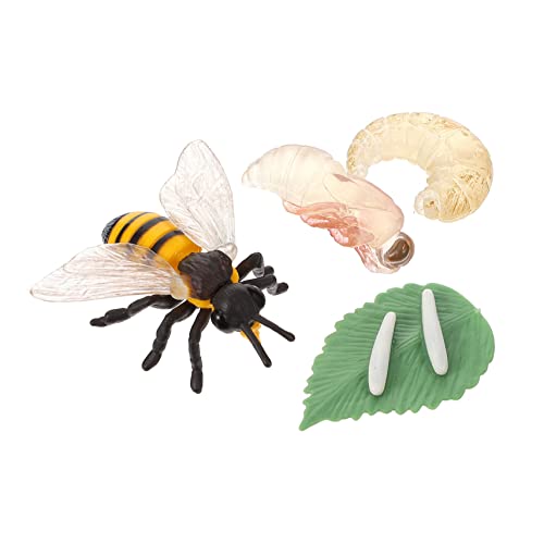 COSMEVIVI 1 Set Simulation Insekt Wachstumszyklus Modell Pädagogische Bienenlebenszyklus Figur COSMEVIVI 1 Set Simulation Insekt Wachstumszyklus Modell Pädagogische Bienenlebenszyklus Figur von COSMEVIVI