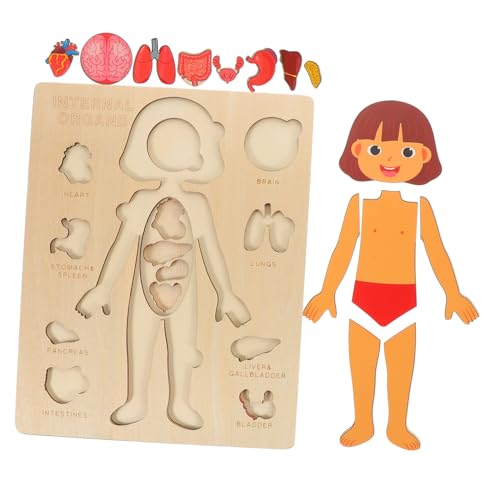 COSMEVIVI Puzzle Mit Menschlichen Organen Für Kinder Spielzeug Zur Kognitiven Entwicklung Von Kleinkindern Vorschulunterricht 1 Satz Holzpuzzle Für Kinder COSMEVIVI Puzzle Mit Menschlichen Organen Für Kinder Spielzeug Zur Kognitiven Entwicklung Von Kleinkindern Vorschulunterricht 1 Satz Holzpuzzle Für Kinder von COSMEVIVI