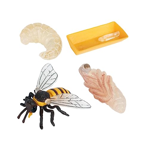COSMEVIVI 1Satz Teiliges Bienenspielzeugmodell Imitation des Bienenwachstumszyklus für Kinderfreundliches Lernen aus Leichtem für Dekoration und Bildung von COSMEVIVI