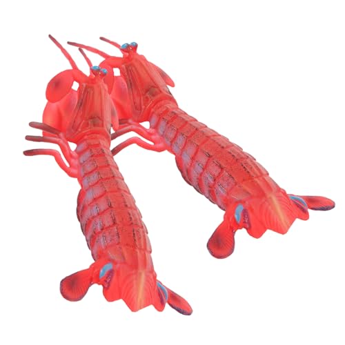 COSMEVIVI 2 Stück Gefälschtes Garnelenmodell Zur Ausstellung, Lebensechtes Garnelenmodell, Künstliches Garnelen Ausstellungsmodell, Gefälschtes Garnelen Ausstellungsmodell, COSMEVIVI 2 Stück Gefälschtes Garnelenmodell Zur Ausstellung, Lebensechtes Garnelenmodell, Künstliches Garnelen Ausstellungsmodell, Gefälschtes Garnelen Ausstellungsmodell, von COSMEVIVI