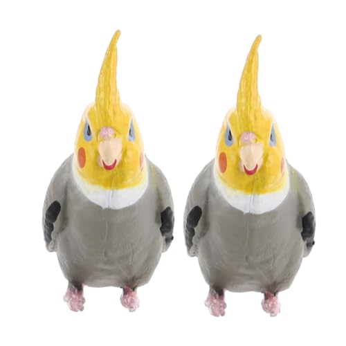 COSMEVIVI 2 Stück Simuliertes Papageienmodell: Realistische Papageienfigur, Spielzeug, Tierfigur, Spielset Für Kinder, Lernspielzeug, Feen-Terrarium, Basteln, Gartenzubehör COSMEVIVI 2 Stück Simuliertes Papageienmodell: Realistische Papageienfigur, Spielzeug, Tierfigur, Spielset Für Kinder, Lernspielzeug, Feen-Terrarium, Basteln, Gartenzubehör von COSMEVIVI