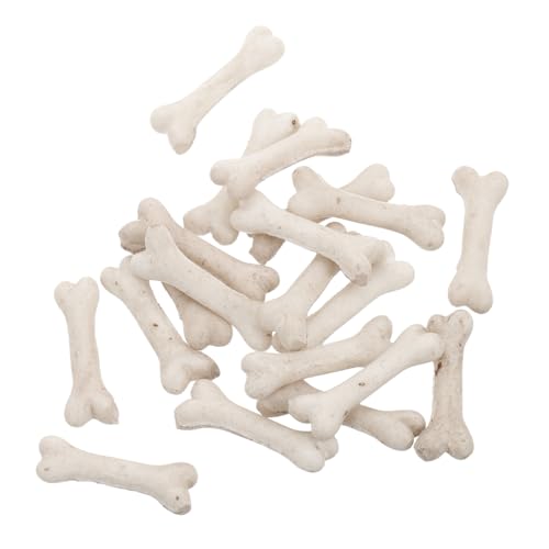 COSMEVIVI 20 Stück Teiliges Miniatur Hundeknochen Modell aus Harz Realistische Kleine Knochen für DIY Dekoration Halloween Requisiten Sand Dioramen und Cosplay Zubehör Vielseitiges von COSMEVIVI