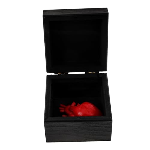 COSMEVIVI Herzorgan Geschenkbox, Halloween Herzen, Künstliches Herz, Halloween Dekoration, Gruseliges Ornament, Simulierte Herzen, Modell, Halloween, Simulierte Herzen, Halloween, COSMEVIVI Herzorgan Geschenkbox, Halloween Herzen, Künstliches Herz, Halloween Dekoration, Gruseliges Ornament, Simulierte Herzen, Modell, Halloween, Simulierte Herzen, Halloween, von COSMEVIVI