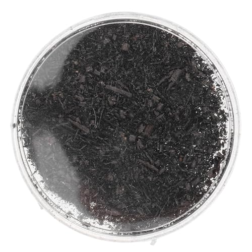 COSMEVIVI Magnetisches Eisenpulver in Robuster Aufbewahrungsbox für Wissenschaftsunterricht und Stem Experimente Vielseitiges Lehrinstrument für Schule und Zuhause Interaktives Magnetfeld COSMEVIVI Magnetisches Eisenpulver in Robuster Aufbewahrungsbox für Wissenschaftsunterricht und Stem Experimente Vielseitiges Lehrinstrument für Schule und Zuhause Interaktives Magnetfeld von COSMEVIVI