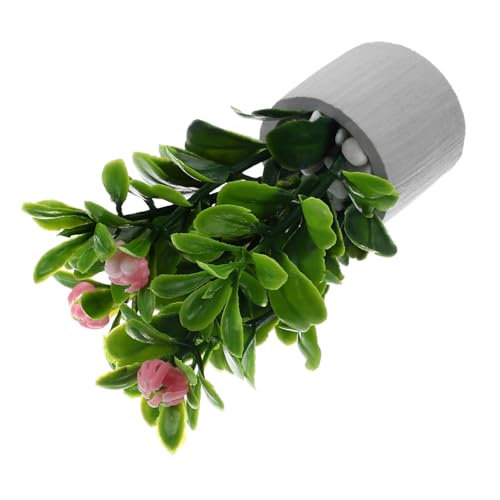COSMEVIVI Miniatur Bonsai Pflanzen Im Tontopf Künstliche Pflanzen Für Puppenhaus Dekoration Miniatur Garten Accessoires Ideale Dekoration Für Innenräume Und Miniatur Landschaften COSMEVIVI Miniatur Bonsai Pflanzen Im Tontopf Künstliche Pflanzen Für Puppenhaus Dekoration Miniatur Garten Accessoires Ideale Dekoration Für Innenräume Und Miniatur Landschaften von COSMEVIVI