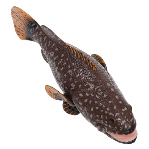 COSMEVIVI Zackenbarsch Modell, Seefisch Modell, Zackenbarsch Requisite, Simulationsfisch, Zackenbarsch, Desktop Fischdekoration, Fischfigur, Simulationsfischfiguren, Realistische COSMEVIVI Zackenbarsch Modell, Seefisch Modell, Zackenbarsch Requisite, Simulationsfisch, Zackenbarsch, Desktop Fischdekoration, Fischfigur, Simulationsfischfiguren, Realistische von COSMEVIVI