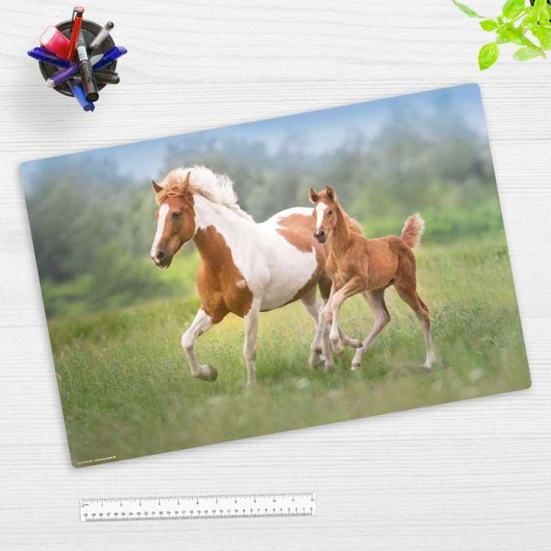 COVER-YOUR-DESK Schreibtischunterlage 60 x 40 cm, Themenwelten Pferde, coveryourdesk Designs Pferde Mama mit Fohlen COVER-YOUR-DESK Schreibtischunterlage 60 x 40 cm, Themenwelten Pferde, coveryourdesk Designs Pferde Mama mit Fohlen von COVER-YOUR-DESK
