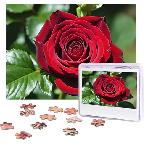 Schöne rote Rosen-Puzzle, 500 Teile, personalisiertes Puzzle mit Aufbewahrungstasche, Foto-Puzzle für Erwachsene, anspruchsvolles Bilderpuzzle für Männer und Frauen, Heimdekoration (52 x 38 cm) von COWMGHLDFL