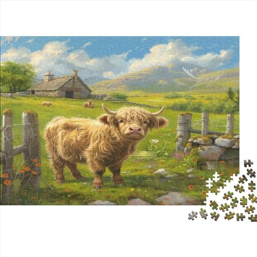 Highland Cattle Puzzles 500 Teile Für Erwachsene Puzzles Für Erwachsene 500 Teile Puzzle Lernspiele Ungelöstes Puzzle 500pcs (52x38cm) von CPXSEMAZA